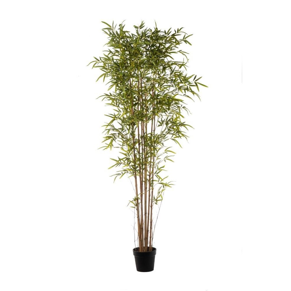 PIANTA BAMBOO 3130 FOGLIE CM.2